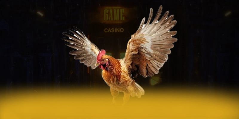 8XBET - Nhà cái sở hữu danh mục sản phẩm toàn diện 2025 8XBET - Nhà cái sở hữu danh mục sản phẩm toàn diện 2025