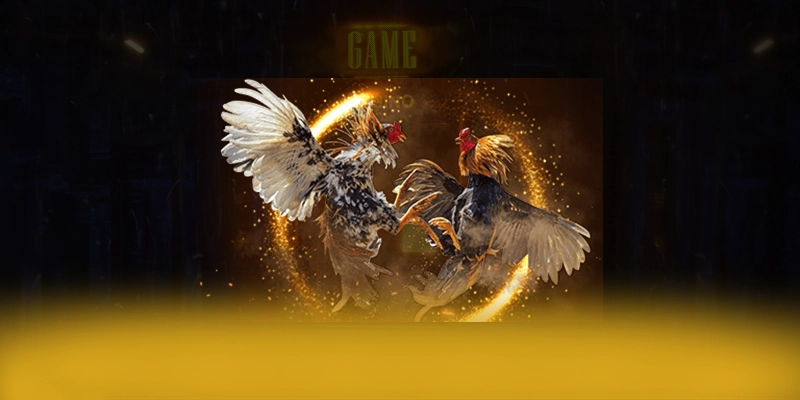 cakhiatv - San choi co danh muc game hap dan hien nay cakhiatv - San choi co danh muc game hap dan hien nay