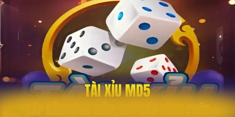 8xbet - Nhà cái có giấy phép quốc tế an toàn nhất