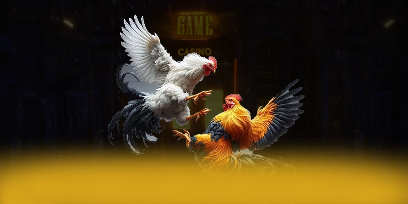 8XBET - Nền tảng cá cược cung cấp dịch vụ cá cược phong phú 2025