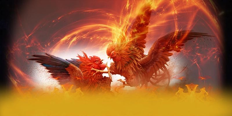 8XBET - Giao dịch tài chính đa dạng phương thức