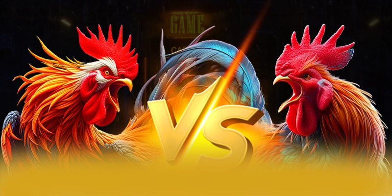 8XBET - Nhà cái sở hữu danh mục sản phẩm đỉnh cao hiện nay