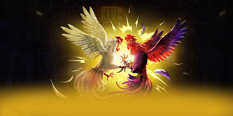 Nhận xét từ cộng đồng người chơi về BET88 Nhận xét từ cộng đồng người chơi về BET88